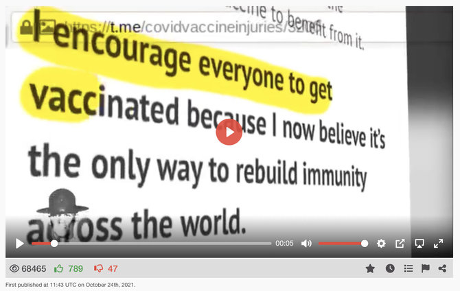 Ekrano nuotr. iš bitchute.com/Celine Dion raginimą skiepytis nuo COVID-19 susiejo su ją kamuojančia liga