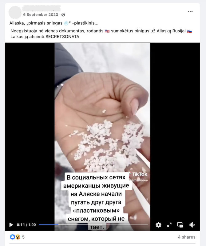 Ekrano nuotr. iš „Facebook“/Lietuvos interneto vartotojai aiškina, esą Aliaskoje prisnigo dirbtinio sniego