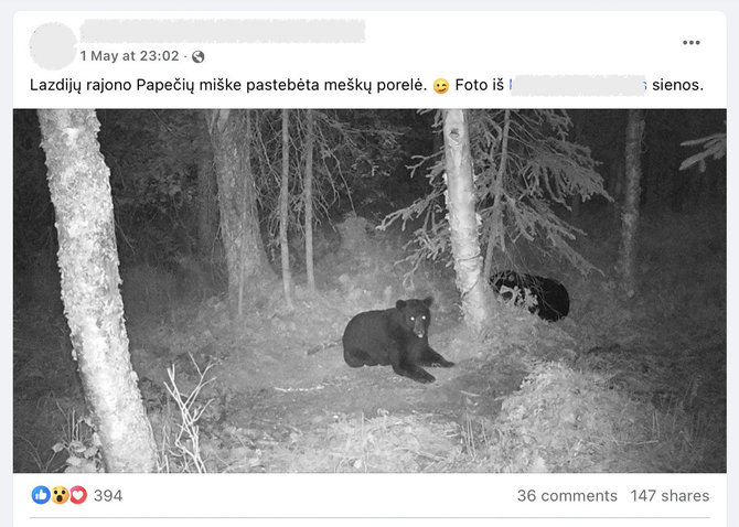 Ekrano nuotr. iš „Facebook“/Tariamai miške Lietuvoje pastebėtų meškų nuotrauka sulaukė didelio dėmesio