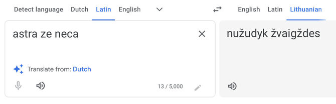 Ekrano nuotr. iš translate.google.com/Vertimo programa frazę išverčia, nors lotynų kalboje žodžio „ze“ nėra