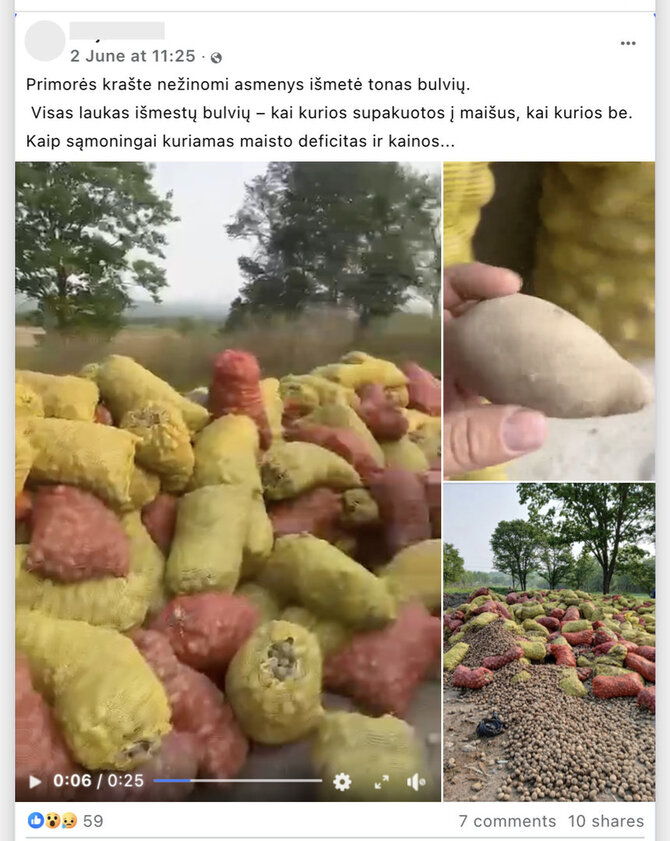 Ekrano nuotr. iš „Facebook“/Primorės krašte buvo išmestos sėklinės bulvės, kurių buvo paprašyta užauginti daugiau, bet paskui nebereikėjo