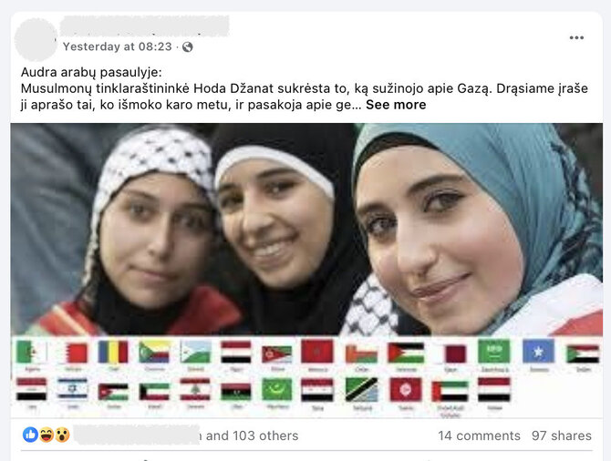 Ekrano nuotr. iš „Facebook“/Tekstas su faktais apie Gazą patraukė ir Lietuvos internautų dėmesį
