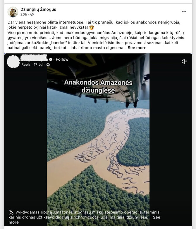 Ekrano nuotr. iš „Facebook“/Vaizdo įrašas su milžiniškomis anakondomis sukurtas pasitelkus dirbtinį intelektą 