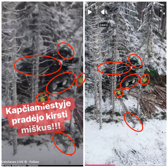 Ekrano nuotr. iš pixlr.com/Kai kurios matomos detalės patvirtina, kad Antanas Kandrotas paskelbė norvegišką vaizdo įrašą 1