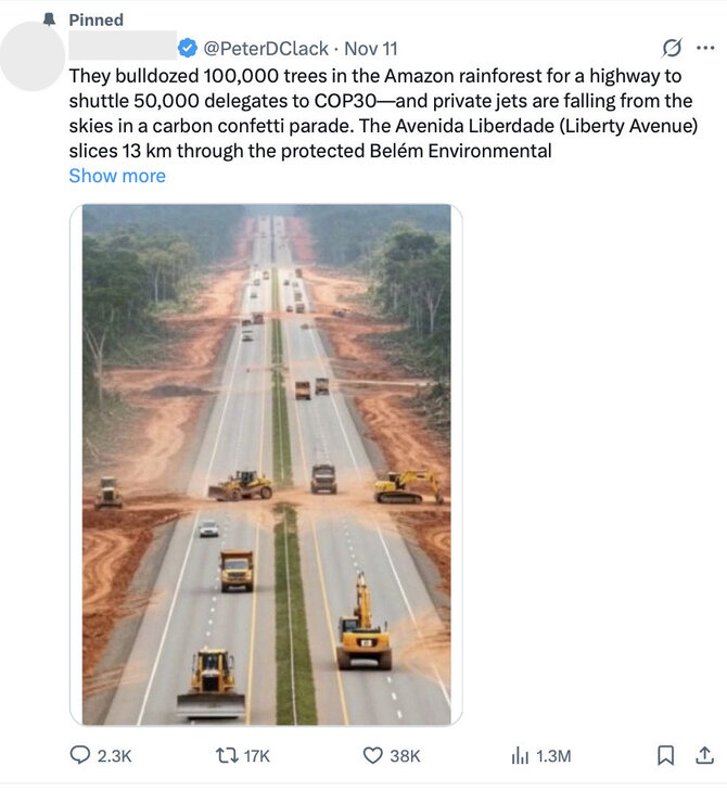 Ekrano nuotr. iš „Facebook“/Vienas „X“ įrašas apie medžių kirtimą Amazonijoje peržiūrėtas daugiau nei 1,3 mln. kartų