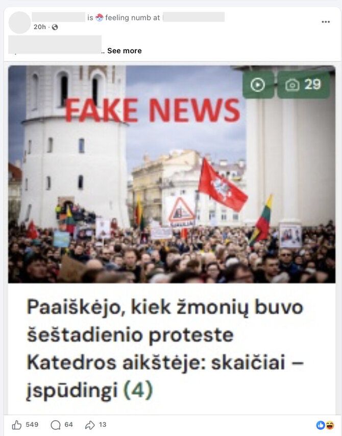Ekrano nuotr. iš „Facebook“/nternautai suabejojo, ar mitinge dalyvavo tiek žmonių, kiek minima viešai