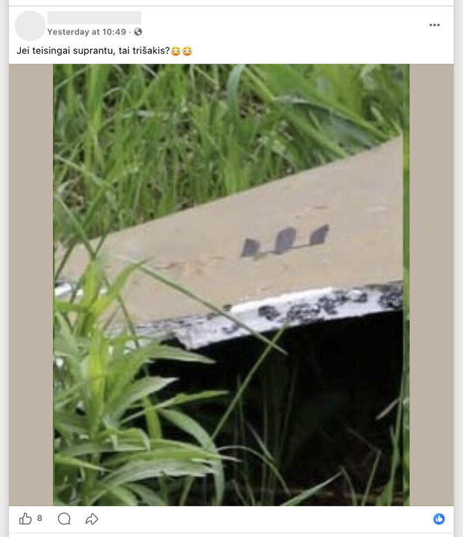 Ekrano nuotr. iš „Facebook“/Nufotografuotą objektą paskubėta susieti su Ukraina