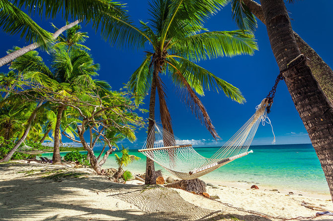 Shutterstock.com/Fidžis