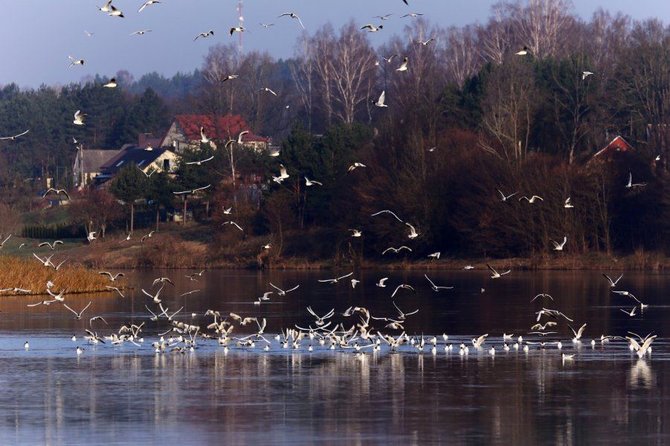 Prienų savivaldybės nuotr./Prienai