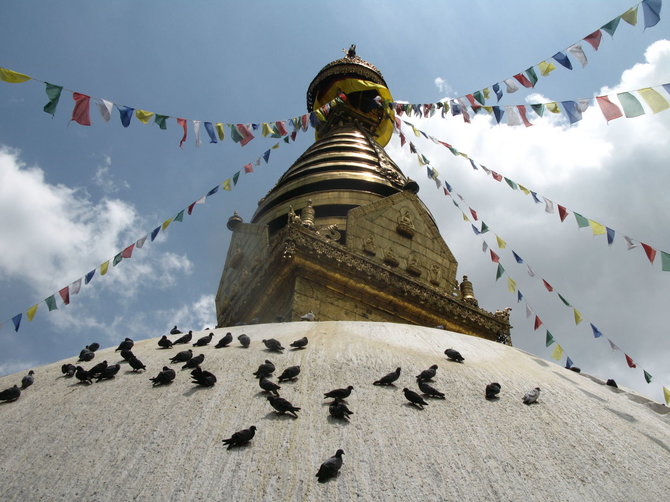 G.Juocevičiūtės nuotr./Svajambunato stupa – bene seniausia Nepale
