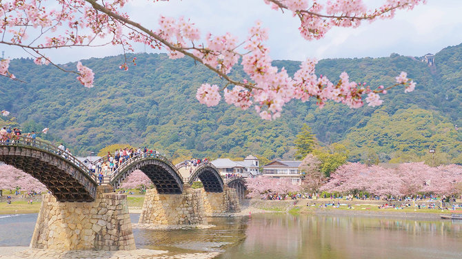 Shutterstock.com nuotr./Kintai tiltas Japonijoje