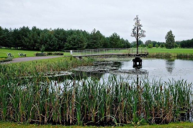 Lietuvon.lt nuotr./Baltų gyvybės medis