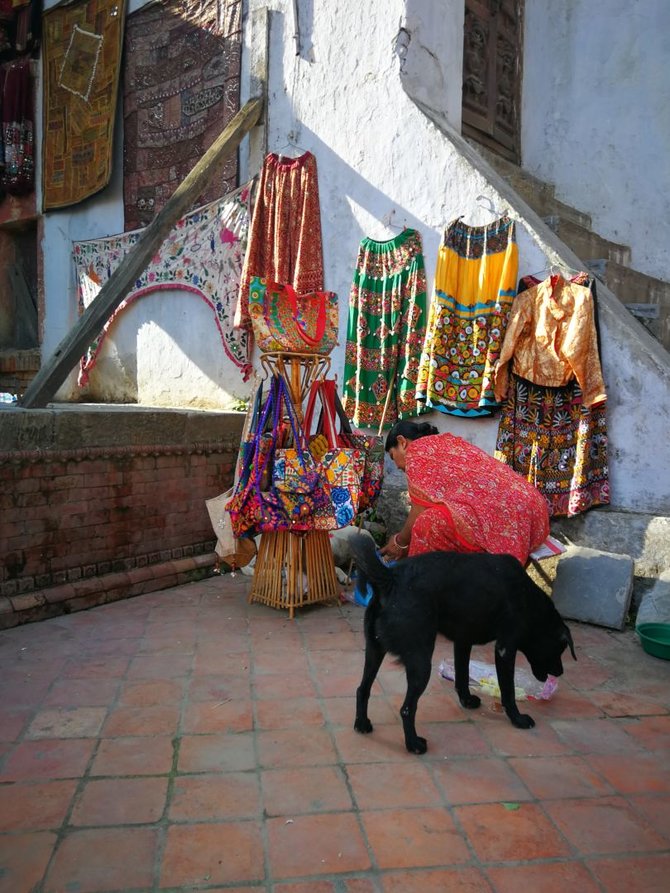 G.Juocevičiūtės nuotr./Nepale miestiečiai šeria gatvių šunis