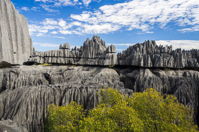 Shutterstock.com nuotr./Cinži de Bemarahos draustinis