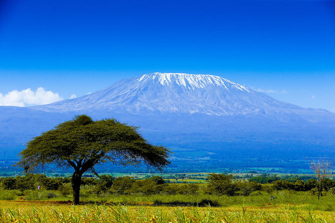 Shutterstock.com nuotr./Kilimandžaras