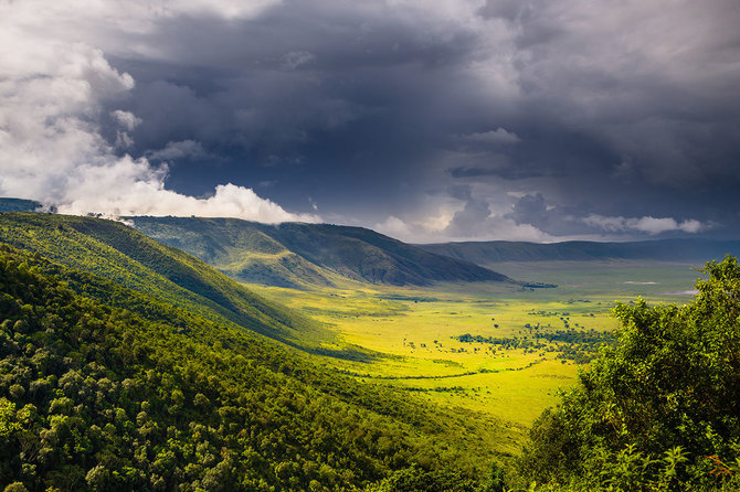 Shutterstock.com nuotr./Ngorongoro ugnikalnio kateris