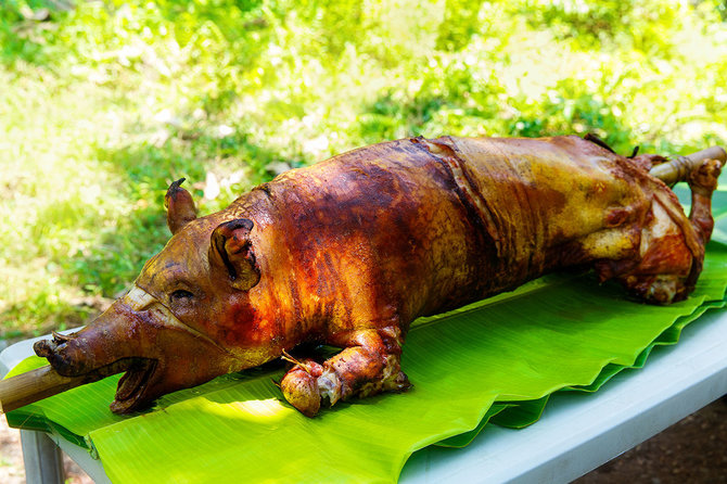 Shutterstock.com nuotr./Lechon