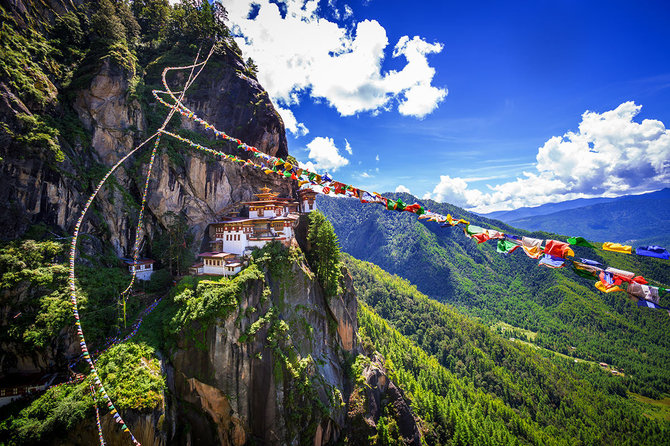 Shutterstock.com nuotr./Butanas