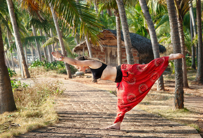 Shutterstock.com nuotr./Sveikatingumo kelionės, Indija