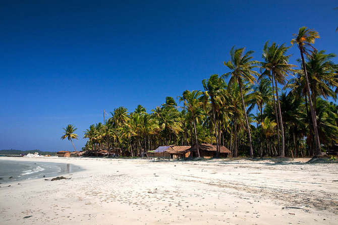 Shutterstock.com nuotr./Ngvė Saung