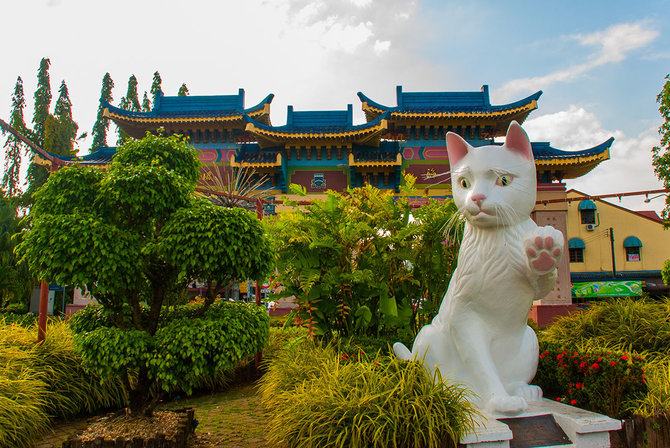 Shutterstock.com nuotr./Vienas Kučingo simbolių – baltos katės skulptūra