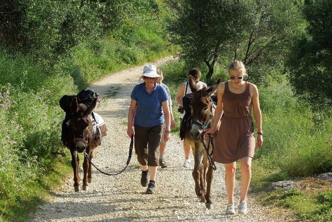 Asm.archyvo nuotr./Akimirkos iš pasivaikščiojimų