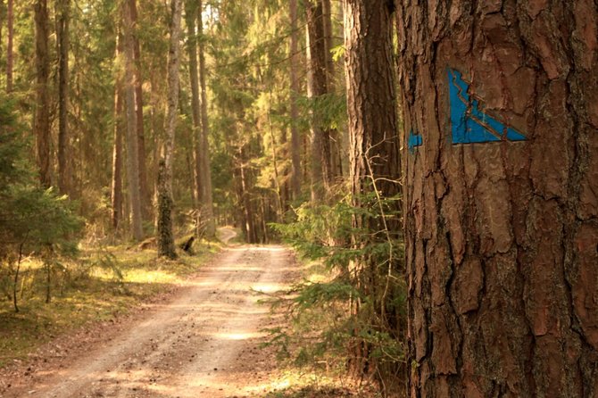 Nesėdėk namuose nuotr./Kulautuvos pėsčiųjų sveikatingumo takai