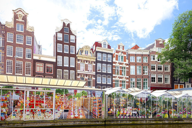 Shutterstock.com nuotr./Amsterdamo gėlių turgus, Olandija