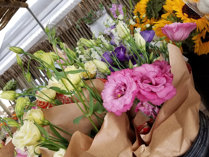 Shutterstock.com nuotr./Keiptauno gėlių turgus, PAR