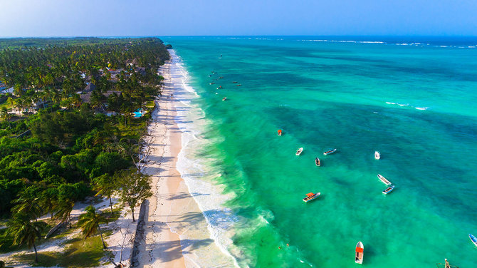 Shutterstock.com nuotr./Paje, Zanzibaras, Tanzanija