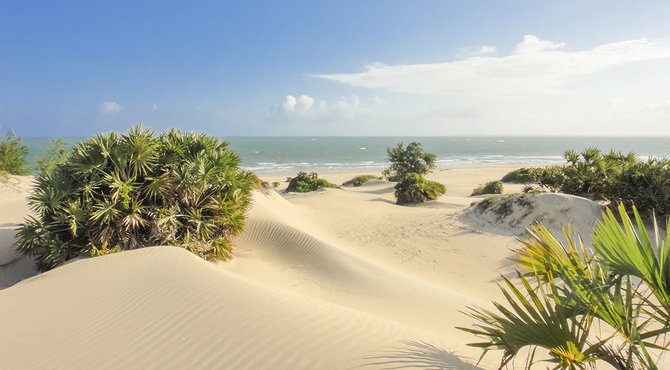 Shutterstock.com nuotr./Shela paplūdimys, Lamu sala, Kenija