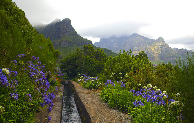 Shutterstock.com nuotr./Drėkinimo kanalai - levados, Madeira
