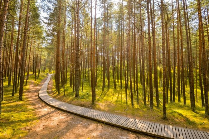 visitjurmala.lv nuotr./Ragakapos gamtos parkas