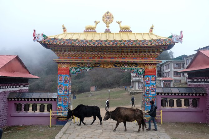Ievos Bašarovienės nuotr./Pilkus Himalajų aukštikalnių akmenynus nuspalvina ryškūs Tibeto budistų vienuolynai