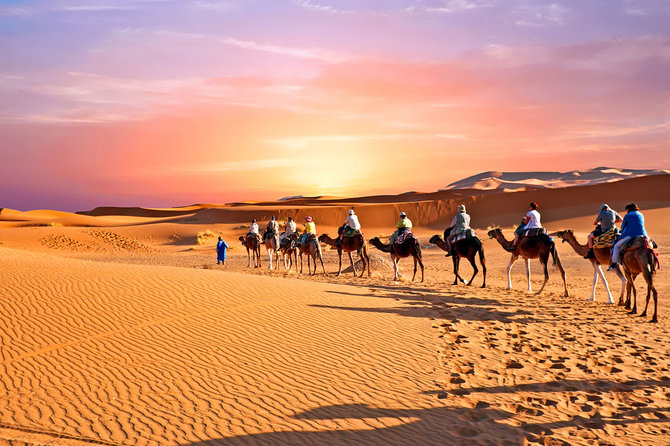 Shutterstock.com nuotr./Arabijos dykuma