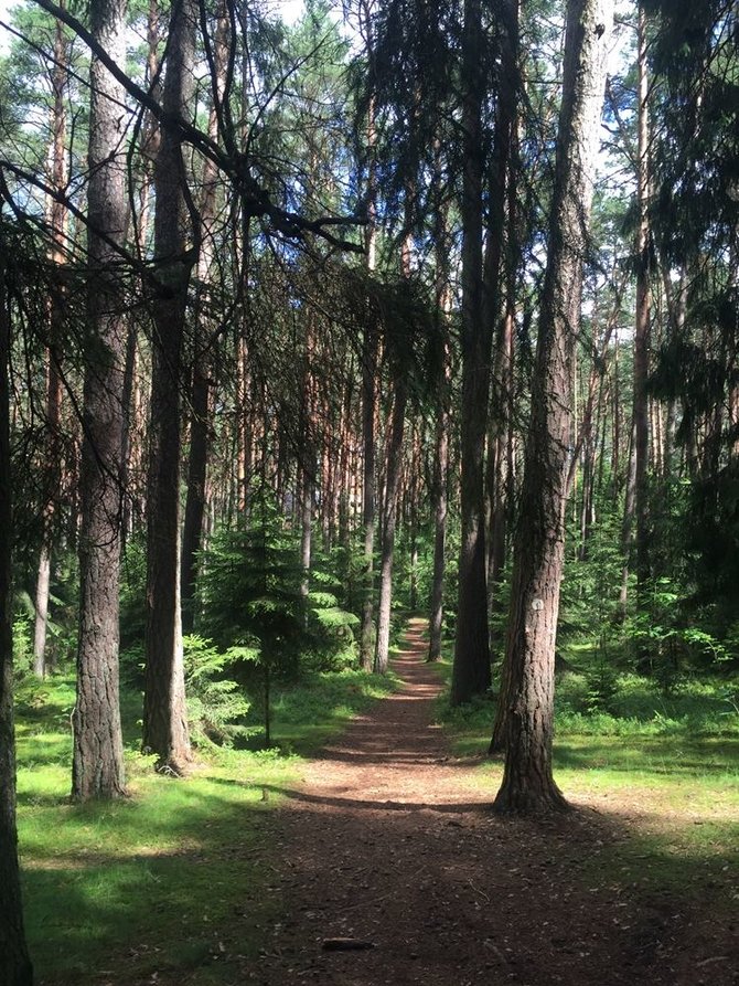 checkinlithuania.com nuotr./Šaltinių takas