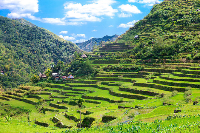 Shutterstock.com nuotr./Filipinų Kordiljerų ryžių terasos