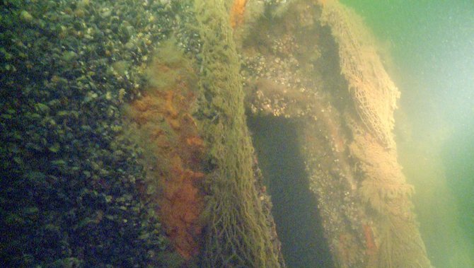 KU Povandeninių tyrimų centro nuotr./Ilgus metus povandeninei archeologijai atidavęs mokslininkas džiaugiasi, kad geros būklės paskendę mediniai laivai Baltijos jūroje gali išsilaikyti labai ilgai