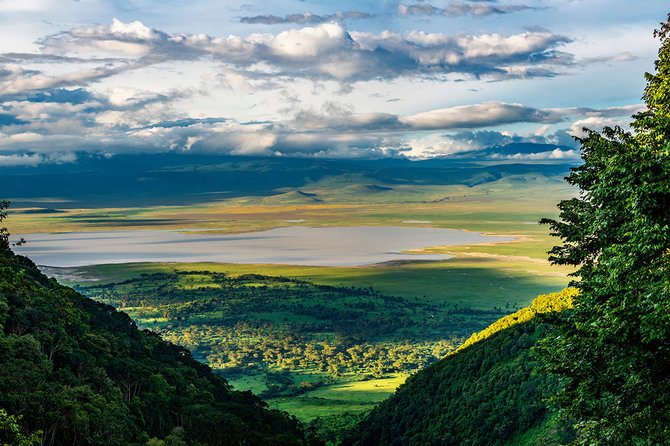 Shutterstock.com nuotr./Ngorongoro draustinis