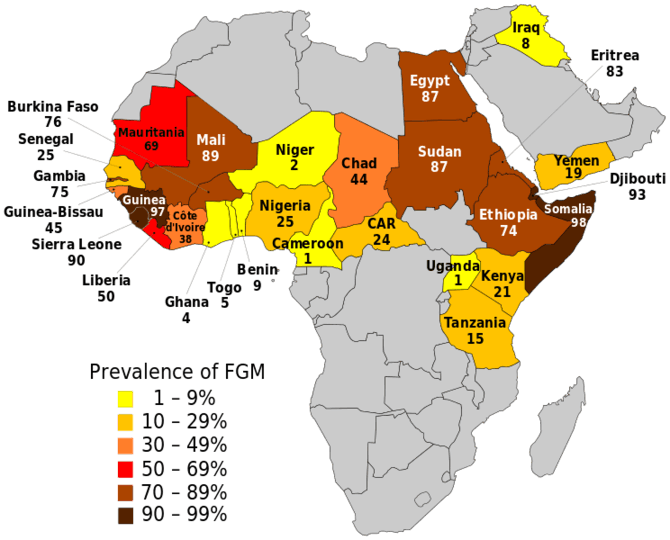 „Wikimedia Commons“ nuotr./Moterų apipjaustymo paplitimas Afrikoje. 2016 m. duomenys