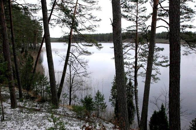 Nesedėk namuose nuotr./ Šarkiškių skulptūrų takai