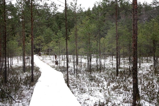 Nesedėk namuose nuotr./ Šarkiškių skulptūrų takai