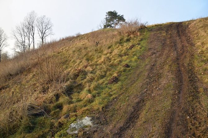 VSTT nuotr./Keturračių vėžės ant Girnikų kalno