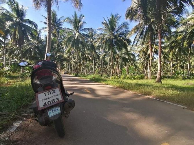 Asm.archyvo nuotr./Palmių ir kokosų oazė Ko Chang saloje