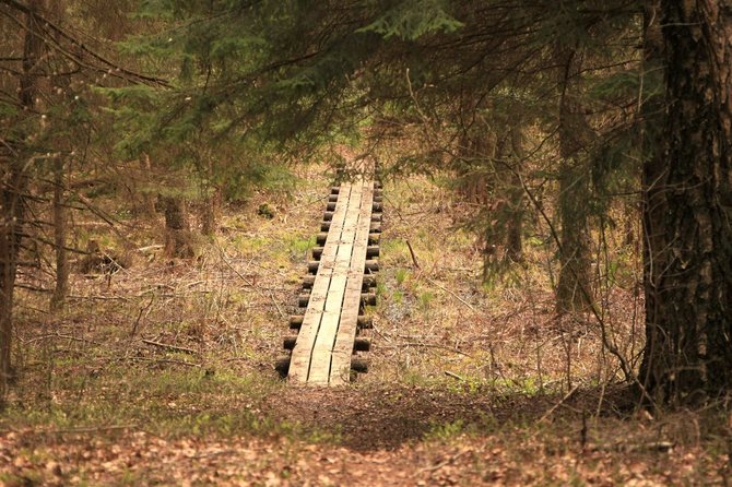 „Nesėdėk namuose“ nuotr./Šereiklaukio miško takas