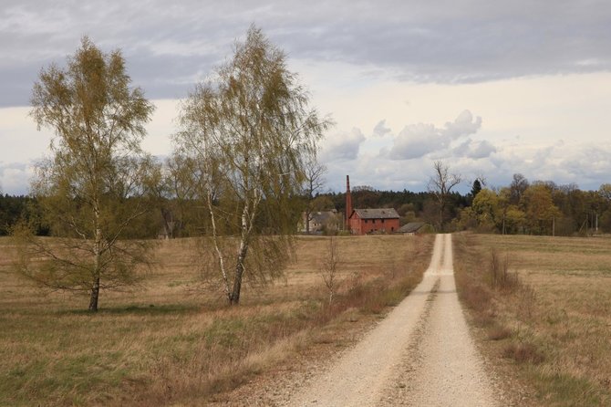 „Nesėdėk namuose“ nuotr./Šereiklaukio miško takas