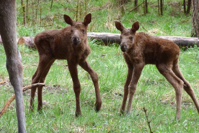 www.entergauja.lv nuotr./Lygatnės gamtos takai