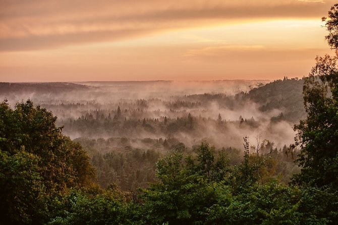 www.entergauja.lv nuotr./Vaizdas į Gaujos upės slėnį