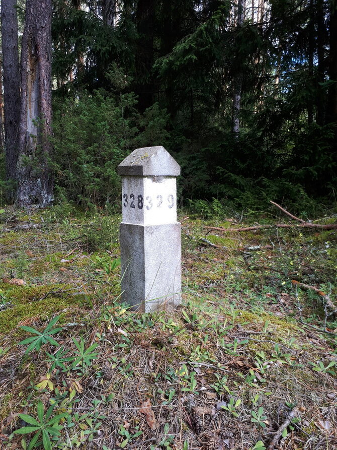 Valstybinių miškų urėdijos nuotr./Kvartalinis stulpas