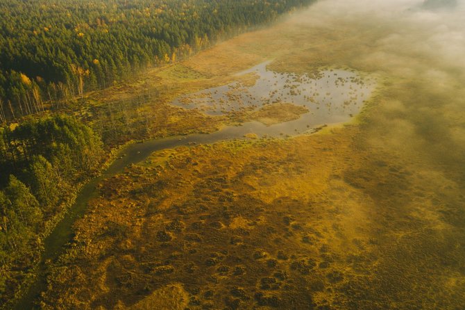 Andriaus Aleksandravičiaus nuotr./Čepkelių valstybinis gamtinis rezervatas